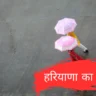 मौसम