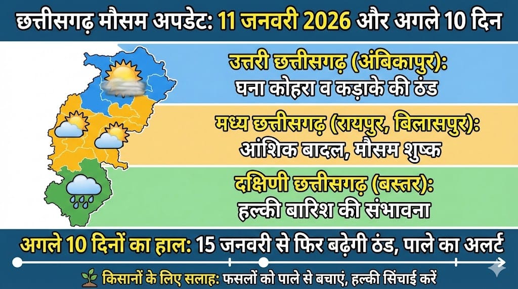 छत्तीसगढ़ मौसम अपडेट: 11 जनवरी 2026 को रायपुर, बिलासपुर में बारिश? अगले 10 दिनों का अलर्ट